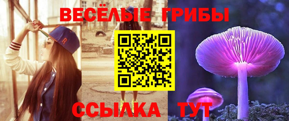 Самара  Галлюциногенные грибы Magic Shrooms  Вход с VPN 